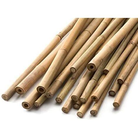 Grow It Bamboo Canes (10/20 Pack) | Hedge Plants from Ireland