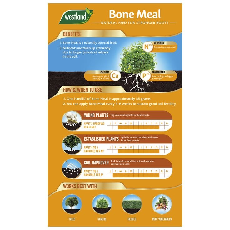 Bonemeal - Image 4