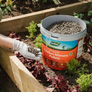 Chicken Manure Pellet Feed