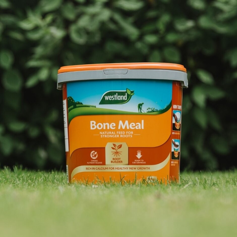 Bonemeal - Image 3