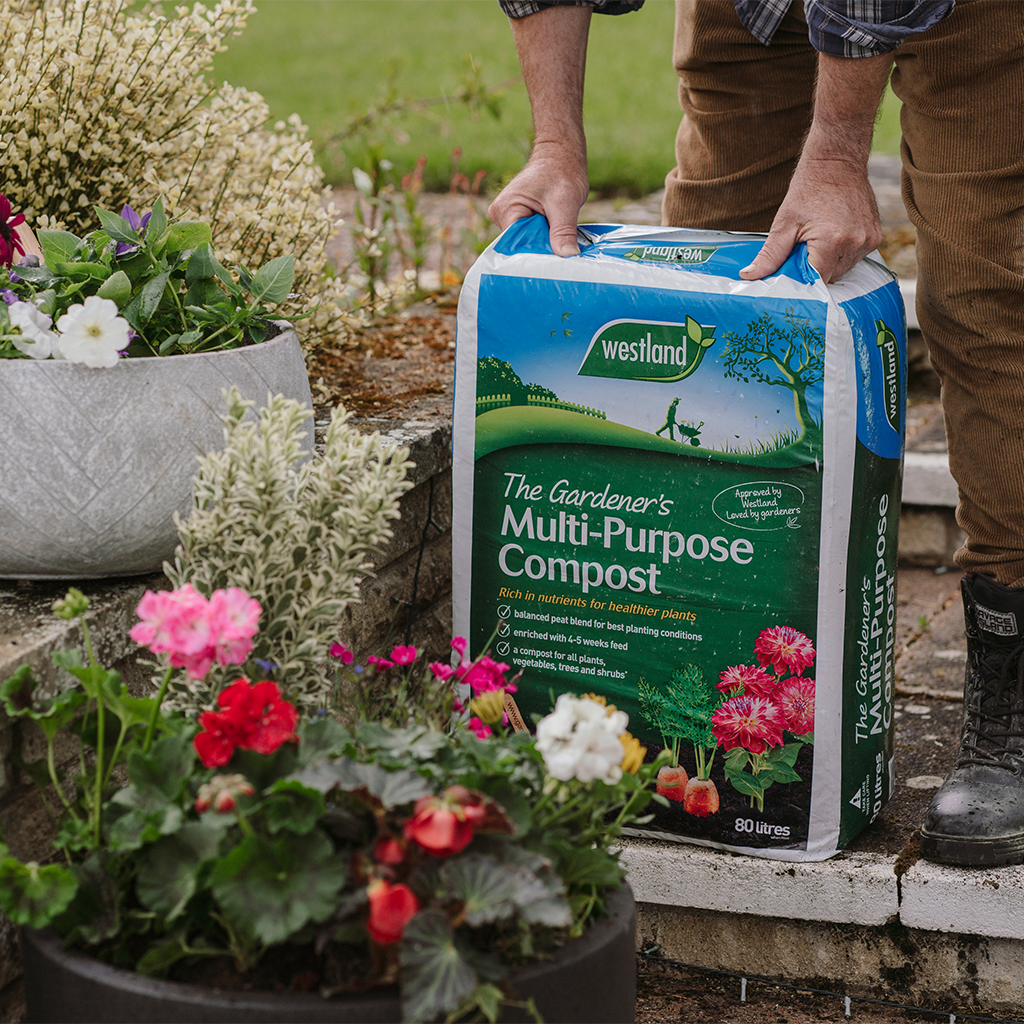 Westland The Gardener's Multi-Purpose Compost - Image 3