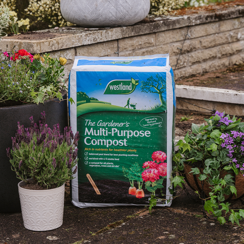 Westland The Gardener's Multi-Purpose Compost - Image 2